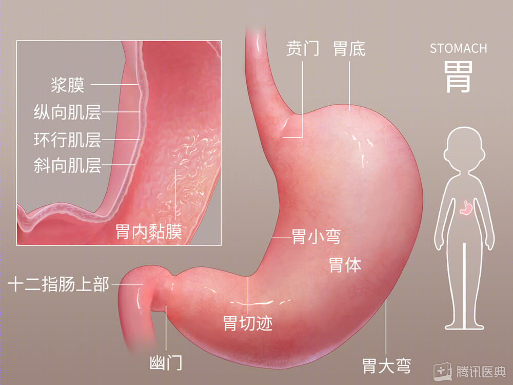 36歲女子，從胃痛到查出胃癌僅3周！醫(yī)生：這5類人最危險